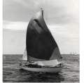 38 foot Colin Philp design, Jack Lucas build.