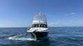 Bertram 35 Flybridge