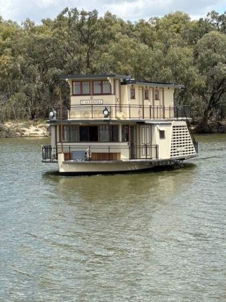 CALEDONIA Paddle Boat