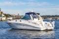 Sea Ray 375 Sundancer 2003
