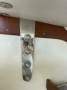J Boats J/100