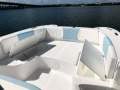 Twin Vee GFX 240 DC - Amazing Catamarans !