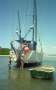 Custom:Transom rudder also retracts