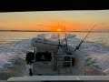 Mustang 3800 LE Sportscruiser - Great condition
