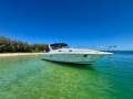 Mustang 3800 LE Sportscruiser - Great condition