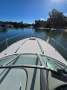Chaparral 290 Signature