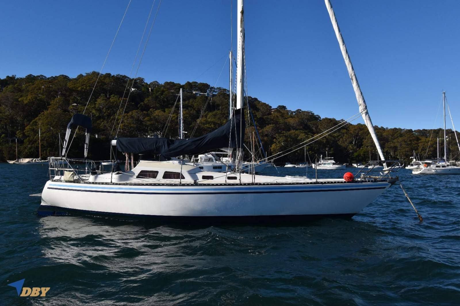 Duncanson 34