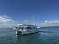 Bay Cruiser Albert Pryor 42ft Bridgedeck Cruiser