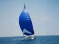 Hanse 531