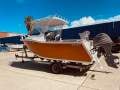 Blade 550 Sports Fish Cuddy