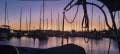 17M marina berth, Mooloolaba Marina