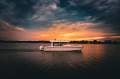 Cruisers Yachts 38 VTR Enclosed