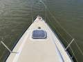 Mottle 820 Time Capsule Special Yacht (Sydney Harbour)