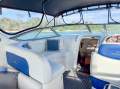 Sunrunner 3700 Sports Cruiser