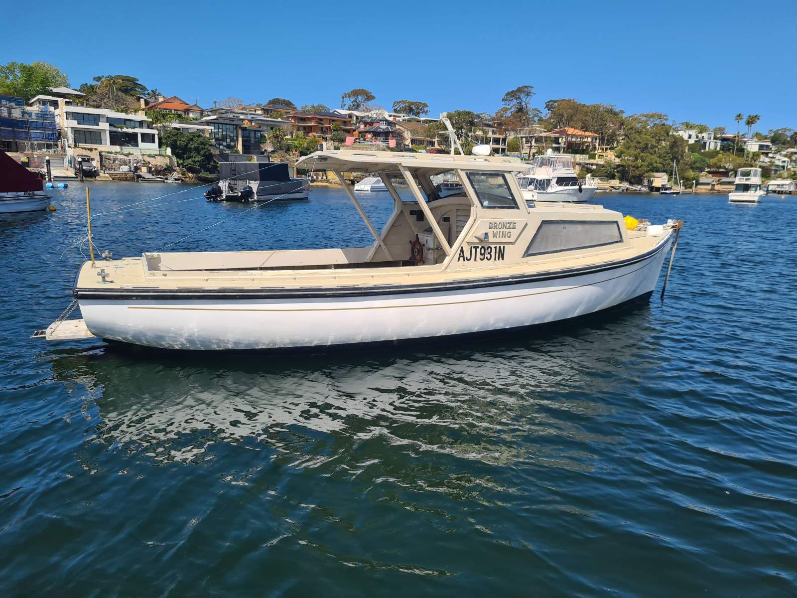 Lacco Timber Cruiser