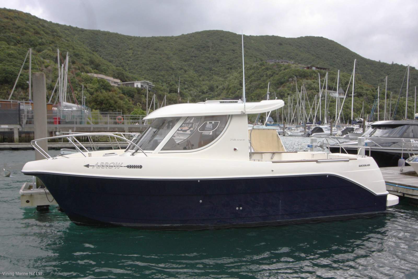 Quicksilver Arvor 250