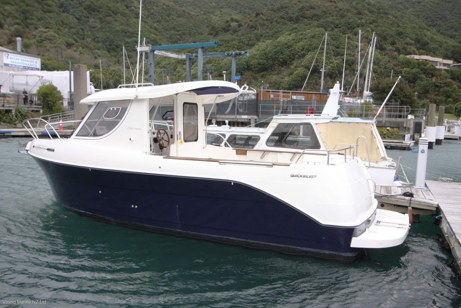 Quicksilver Arvor 250