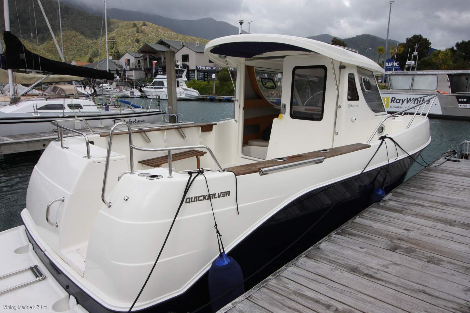 Quicksilver Arvor 250