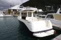 Quicksilver Arvor 250