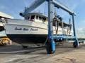 Spanish Mackerel Mothership