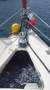 Clansman 30