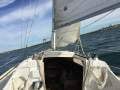 Folkboat International 26