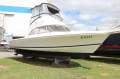 Caribbean 27 Flybridge Cruiser