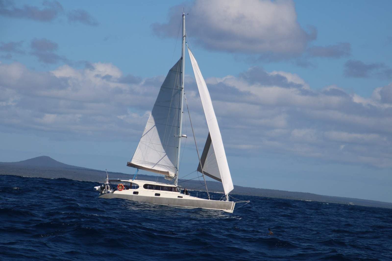Custom 15m Aluminium Performance Sailing Catamaran