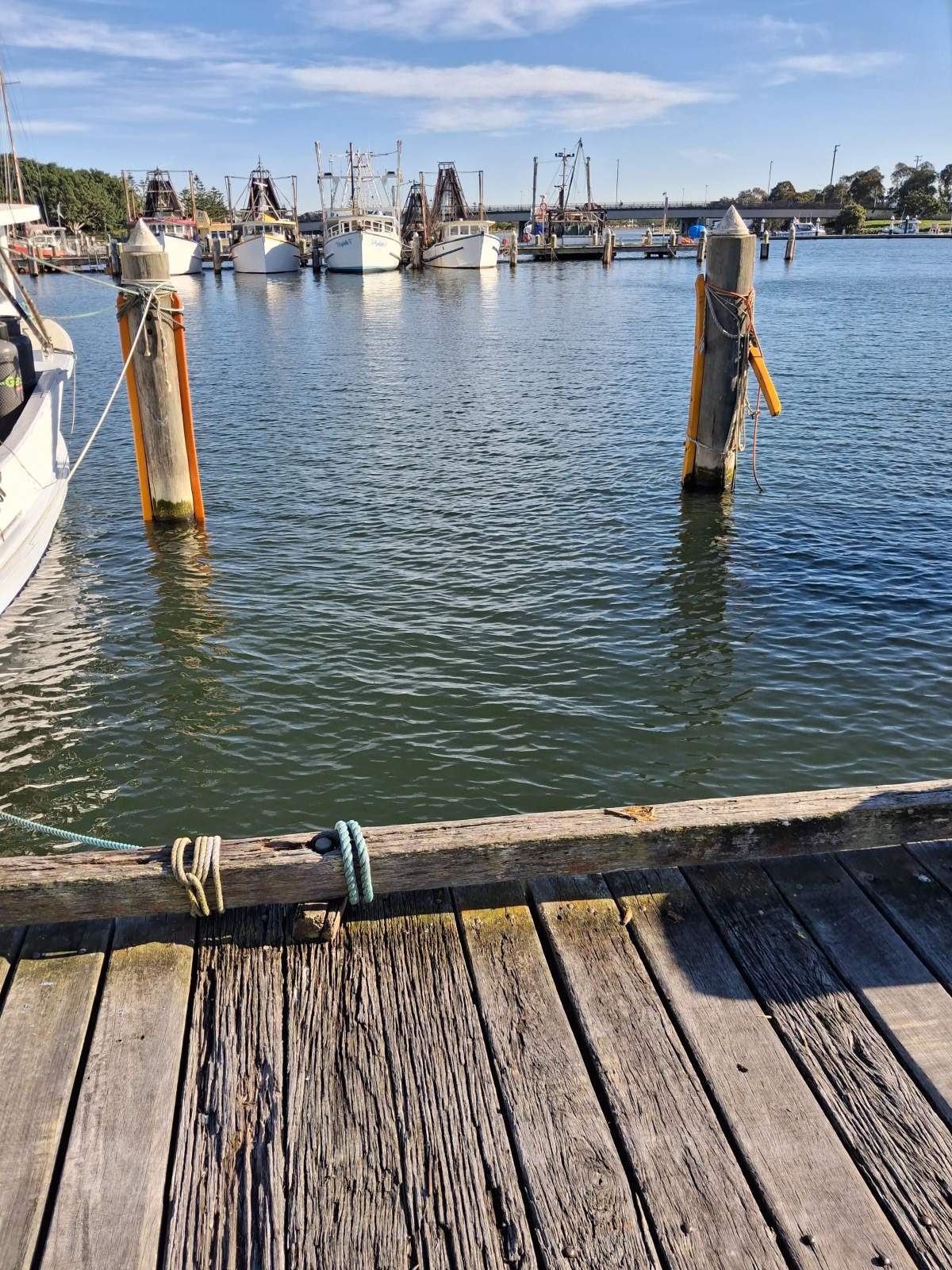 6 moorings for lease