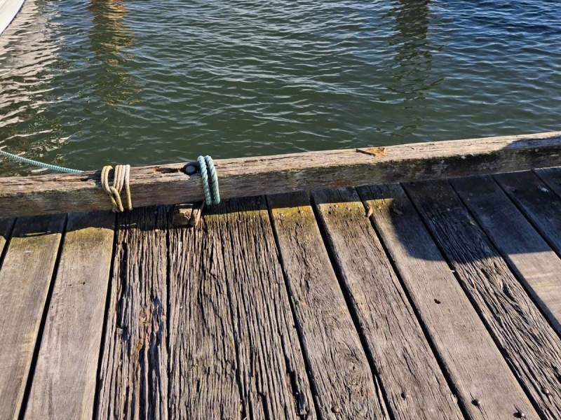 6 moorings for lease