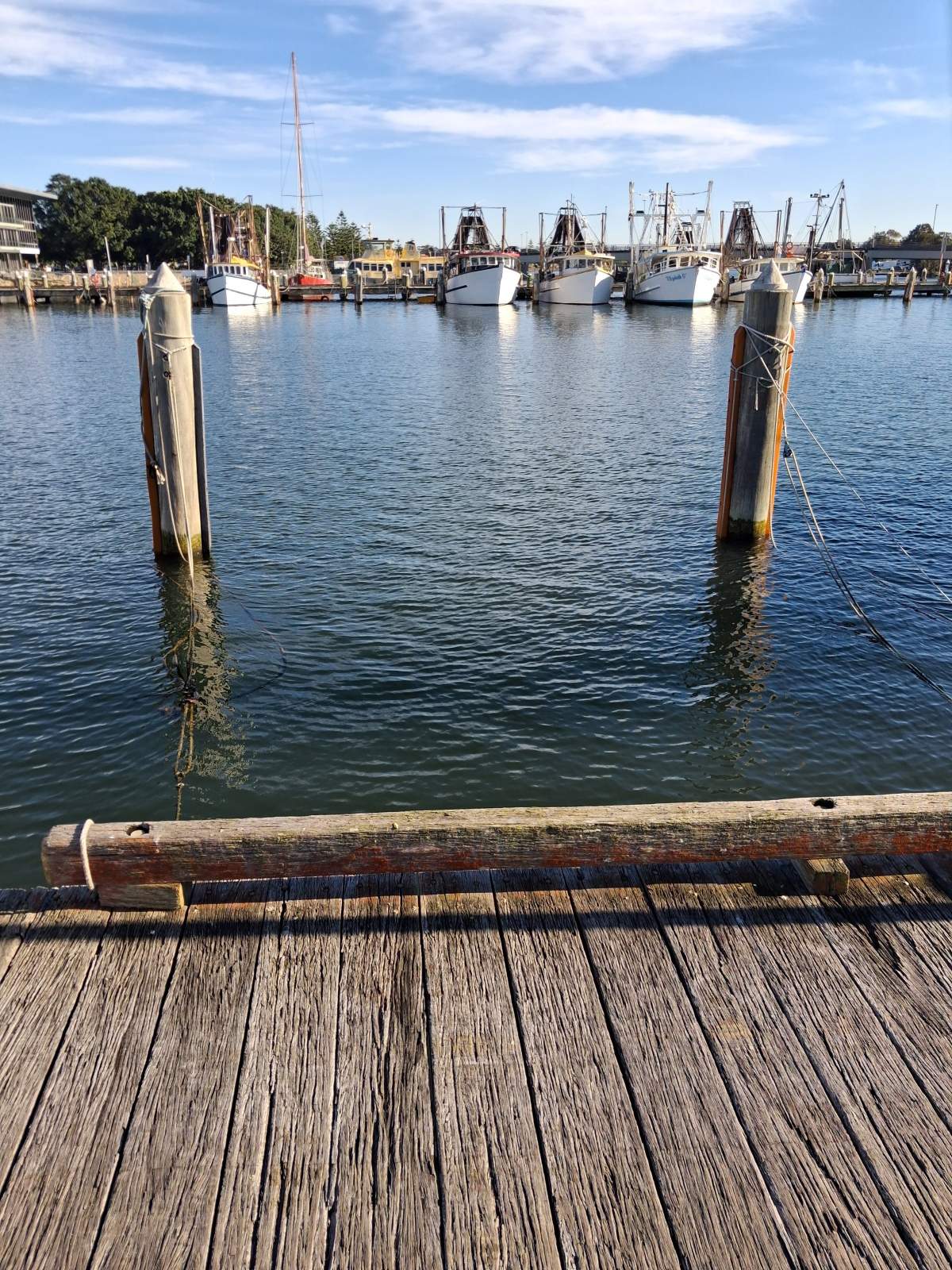 6 moorings for lease