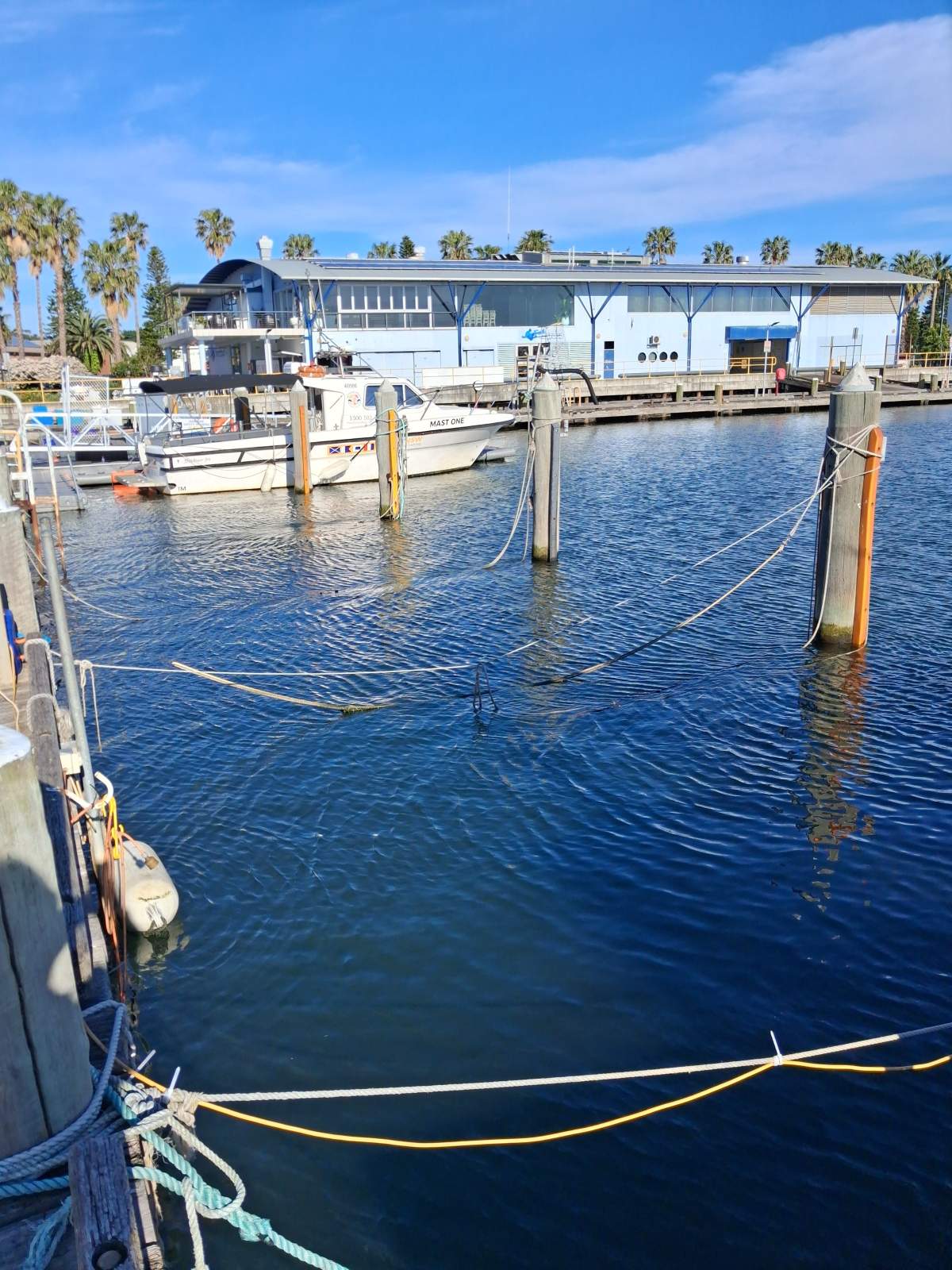 6 moorings for lease