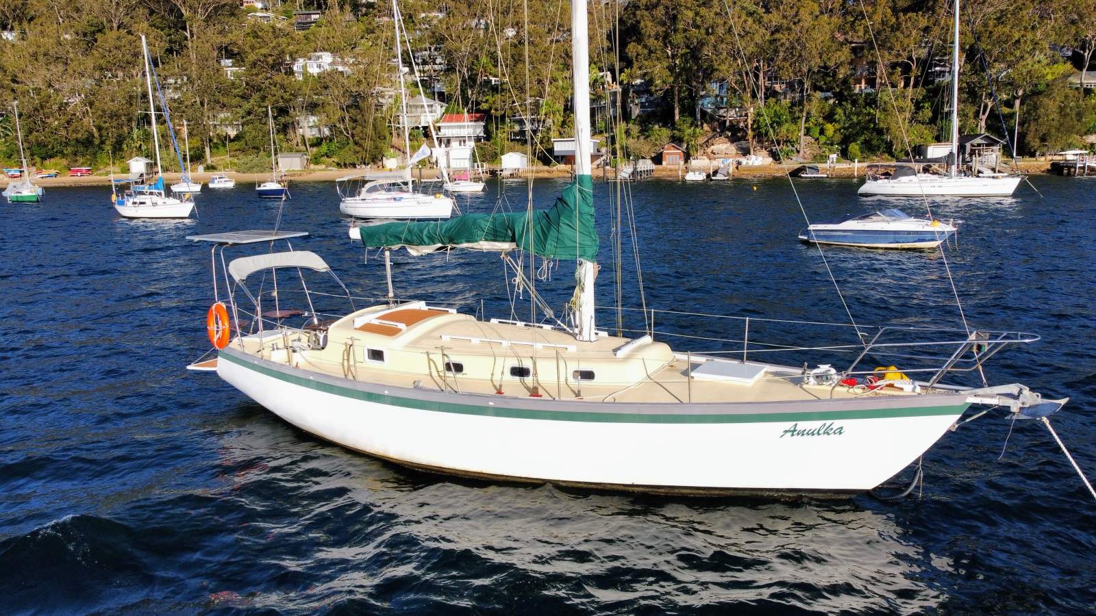 Swanson 36