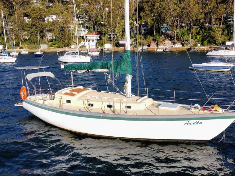 Swanson 36