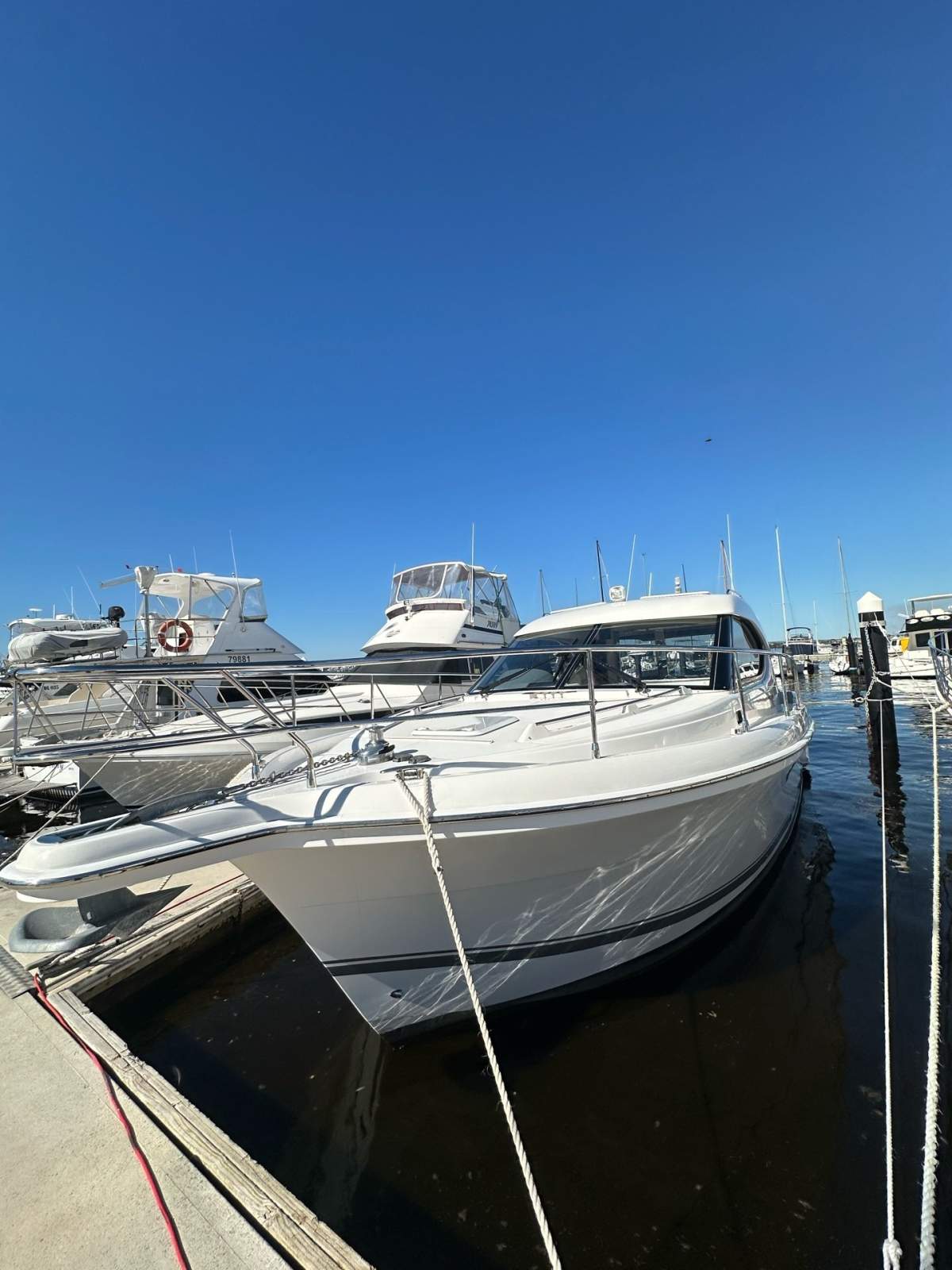 Riviera 3600 Sport Yacht