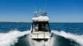 Caribbean C32