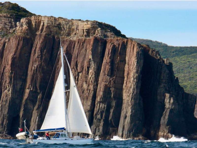 Salar 40