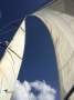Hanse 540E