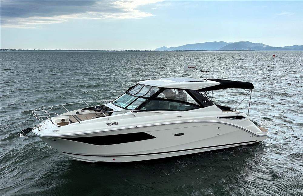 Sea Ray Sundancer