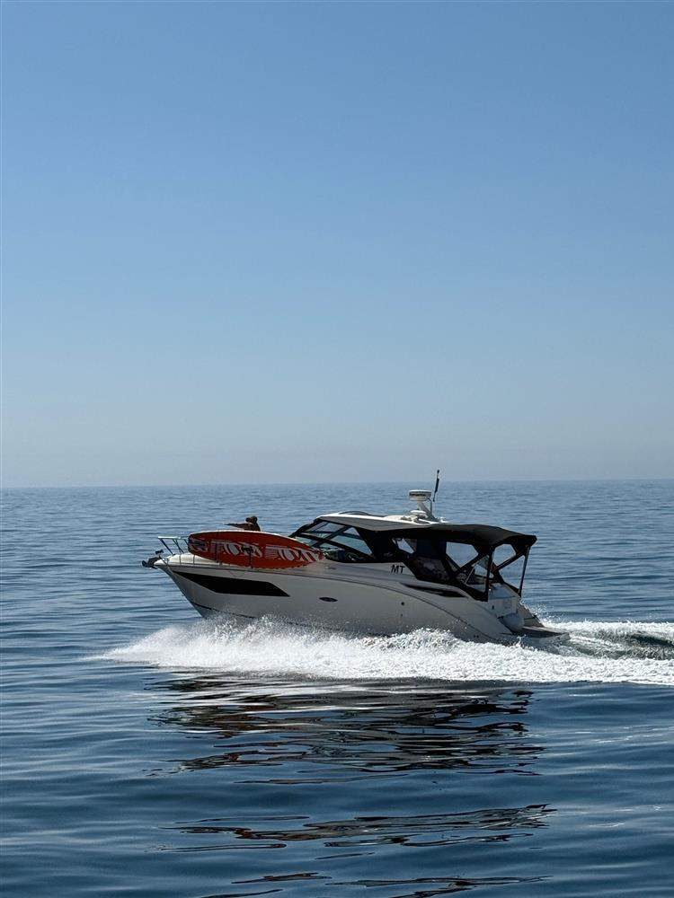 Sea Ray Sundancer