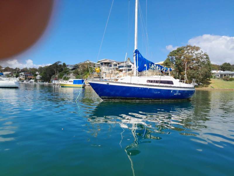 Triton 2486