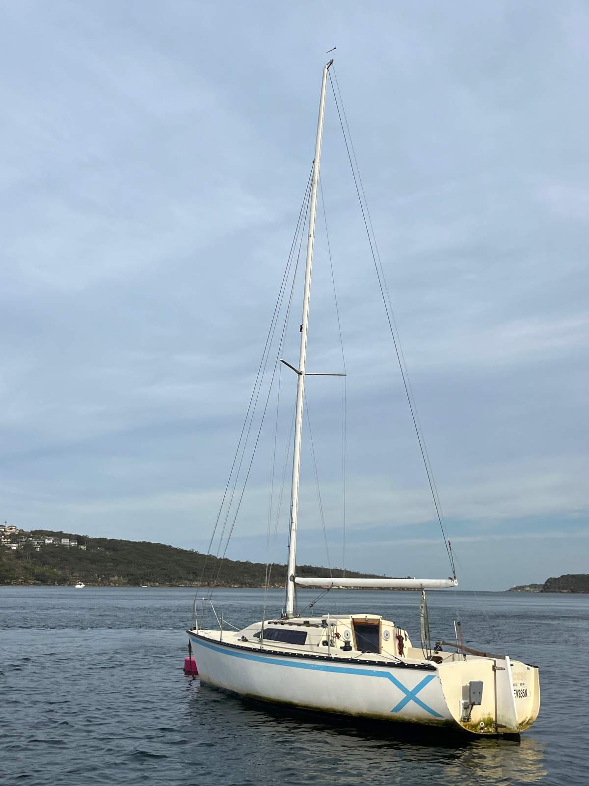 Swarbrick S80