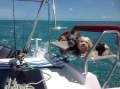 Corsair Cruze 970 Fast comfortable cruising