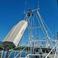 TS636 19.65m Trawler Cape York
