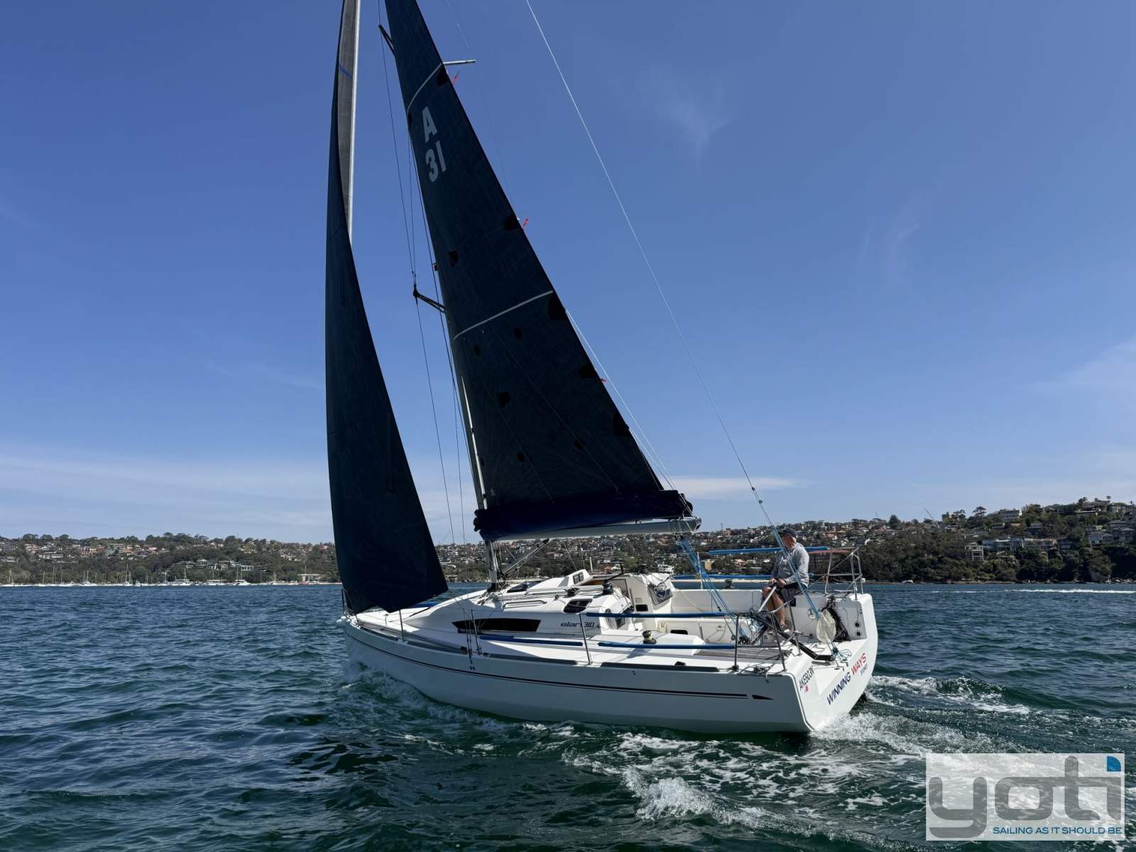 Elan 310