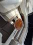 Cobalt 293 Cuddy Cabin NEAT AND VERY CLEAN 502 Mag V8 Mpi Mercruiser
