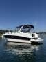 Mustang 3200LE Sportscruiser