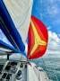 Leopard Catamarans 384