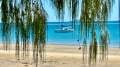Leopard Catamarans 384