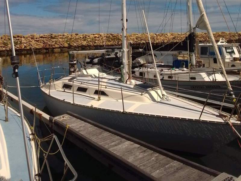 Viking 30
